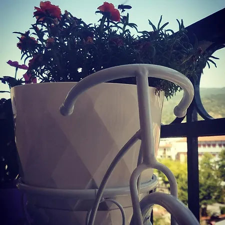 아파트 νίκος